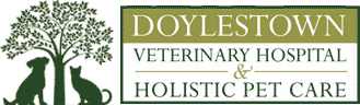 Doylestown Veterinary Hospital