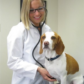 A Lifetime of Wellness for Your Pet Starts with a Plan