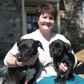 The Importance of Spaying or Neutering Your Pet: The Story of Saving Allie and Her Puppies