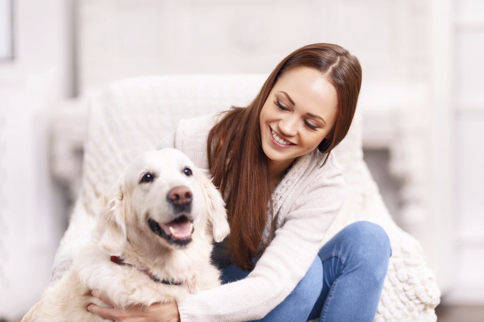 Holistic Pet Care Therapies Are Natural and Effective Options