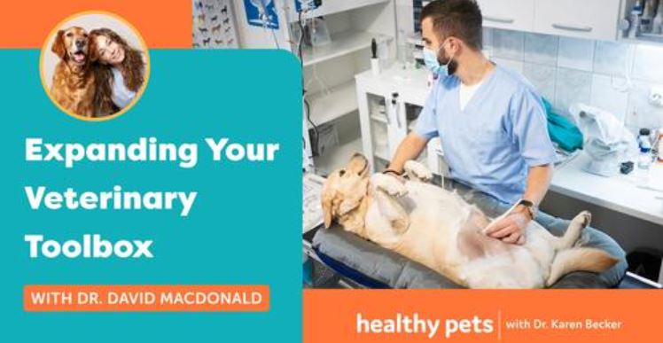 Expanding Your Veterinary Toolbox With Dr. David MacDonald and Dr. Karen Becker