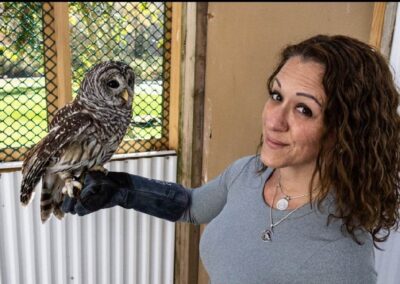 A barn owl perches on co-director Janine Tancredi's gloved hand for Pocono Wildlife Rehabilitation and Education story.