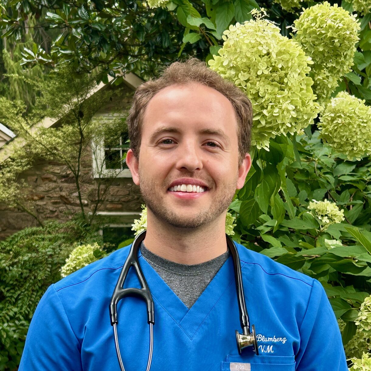 Dr. Blumberg