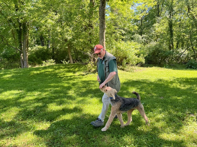 Understanding Your Dog’s Subtle Cues